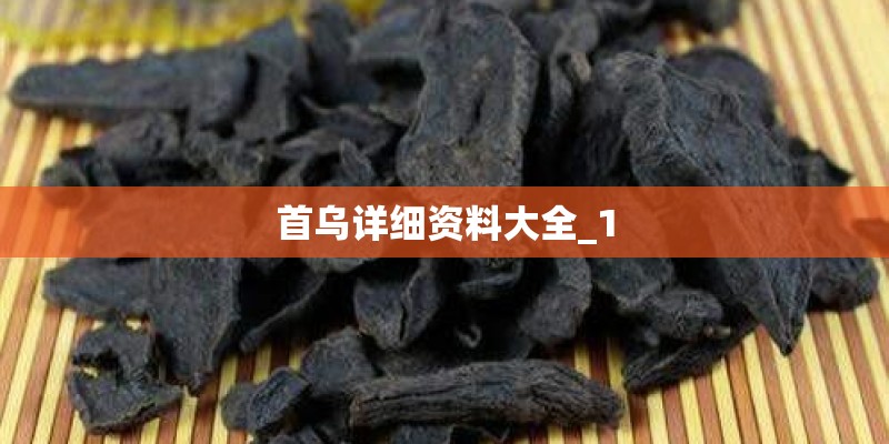 首乌详细资料大全_1
