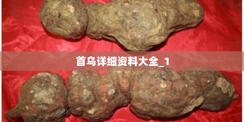 首乌详细资料大全_1