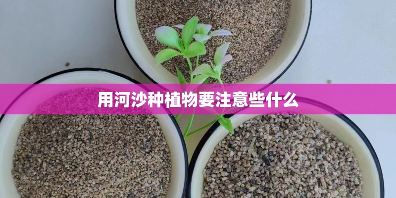 用河沙种植物要注意些什么
