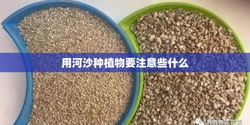 用河沙种植物要注意些什么