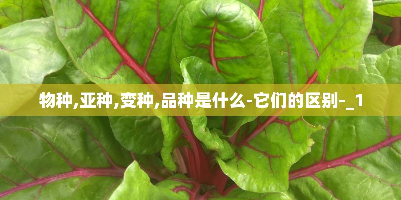 物种,亚种,变种,品种是什么-它们的区别-_1