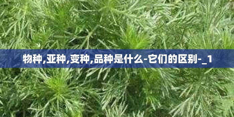 物种,亚种,变种,品种是什么-它们的区别-_1