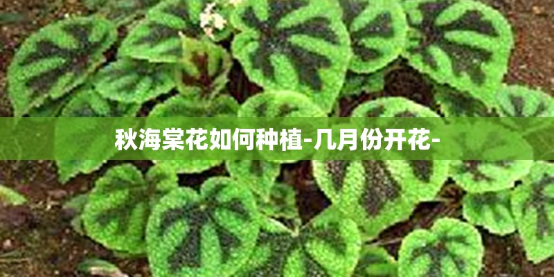 牡丹江有货拉拉吗？