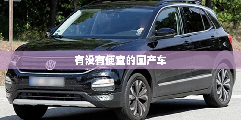 有没有便宜的国产车