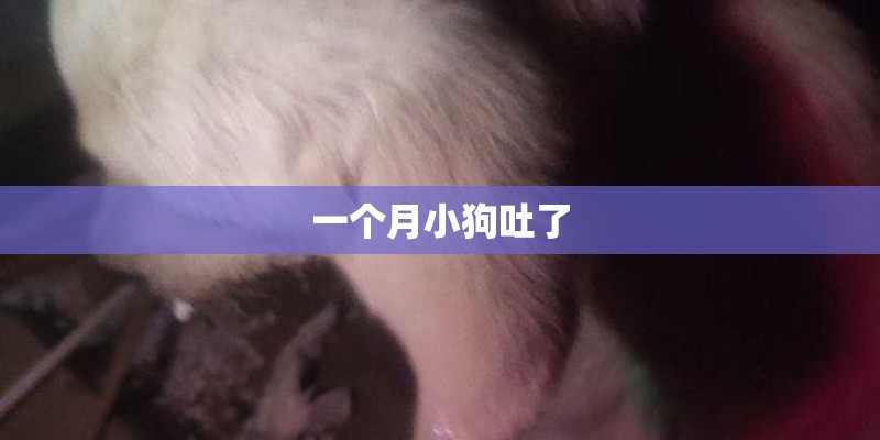 一个月小狗吐了