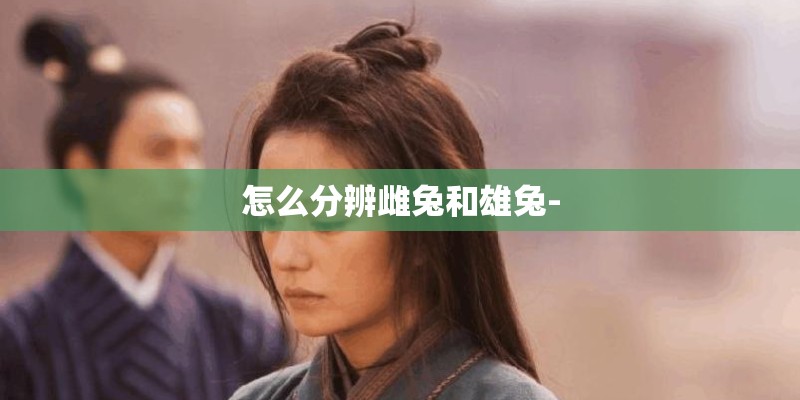 怎么分辨雌兔和雄兔-