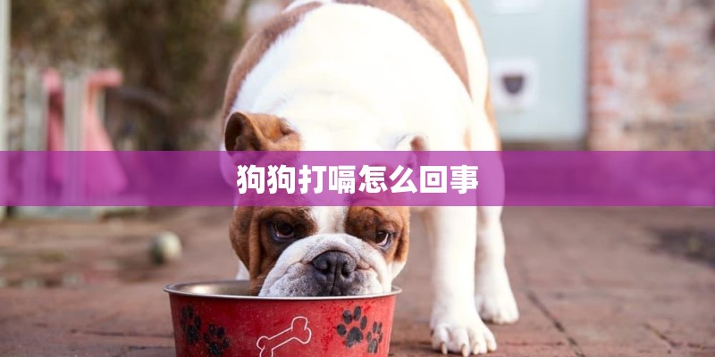 狗狗打嗝怎么回事 狗狗打嗝怎么回事