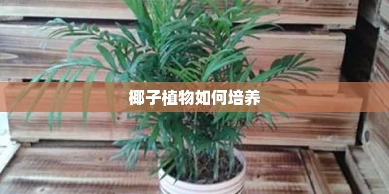 沙漠的利弊是什么啊!!