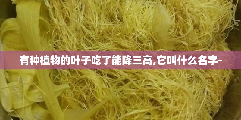 有种植物的叶子吃了能降三高,它叫什么名字-