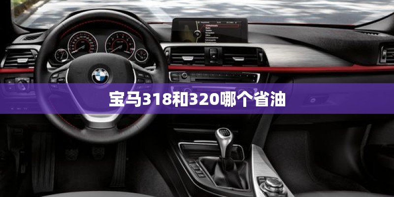 生态护岸的分类建设？