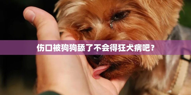 伤口被狗狗舔了不会得狂犬病吧？