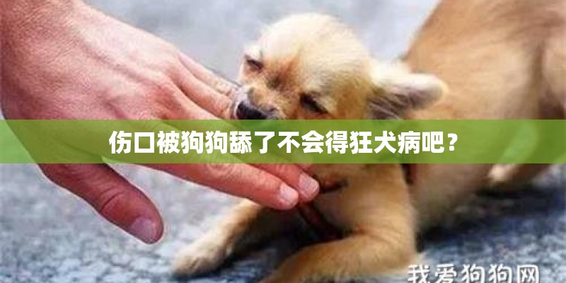伤口被狗狗舔了不会得狂犬病吧? 伤口被狗狗舔了不会得狂犬病吧?