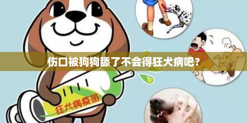 伤口被狗狗舔了不会得狂犬病吧? 伤口被狗狗舔了不会得狂犬病吧?