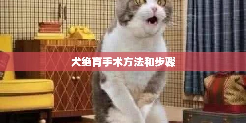 犬绝育手术方法和步骤