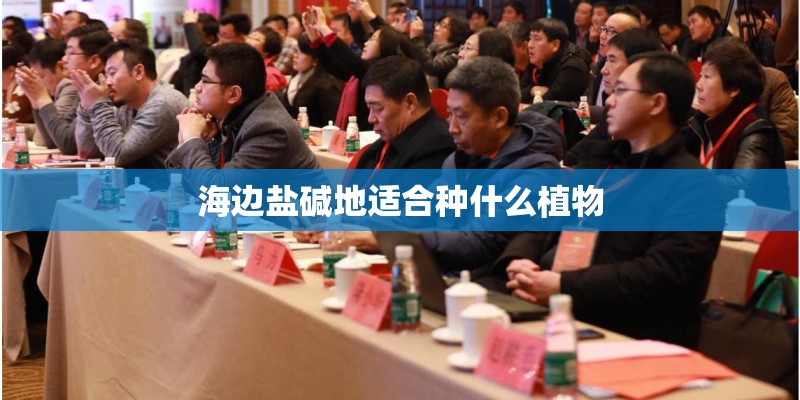 海边盐碱地适合种什么植物