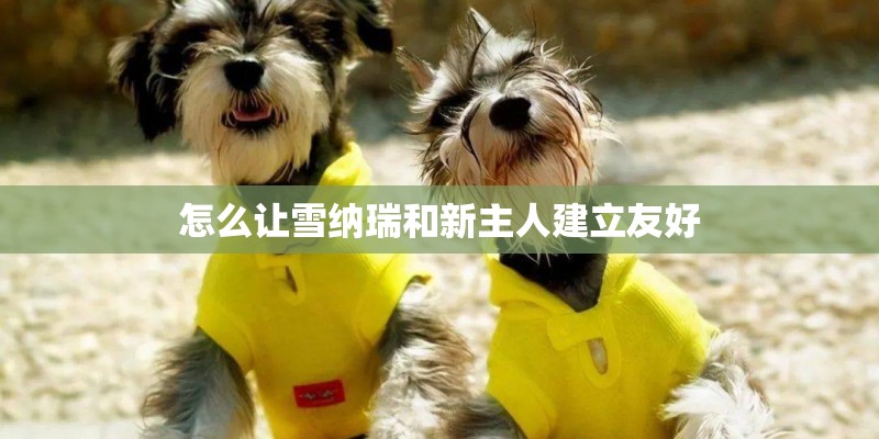 怎么让雪纳瑞和新主人建立友好