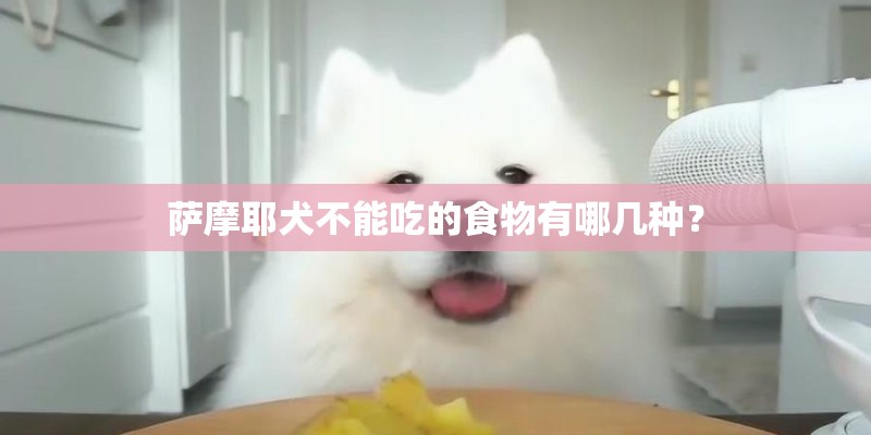 萨摩耶犬不能吃的食物有哪几种？