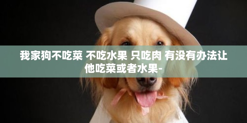 我家狗不吃菜 不吃水果 只吃肉 有没有办法让他吃菜或者水果-