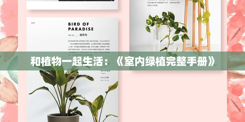 和植物一起生活：《室内绿植完整手册》