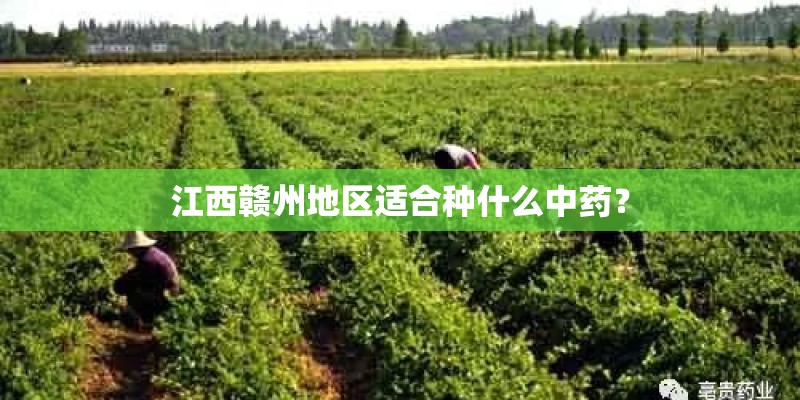 江西赣州地区适合种什么中药? 江西赣州地区适合种什么中药?