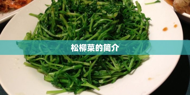 松柳菜的简介
