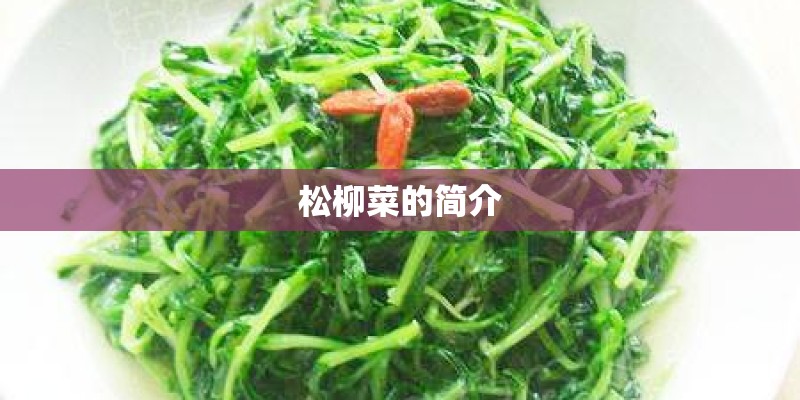 松柳菜的简介 松柳菜的简介
