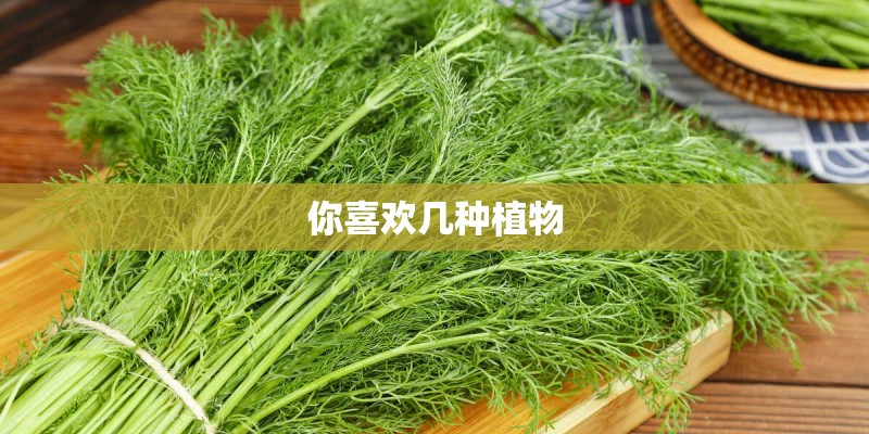 你喜欢几种植物