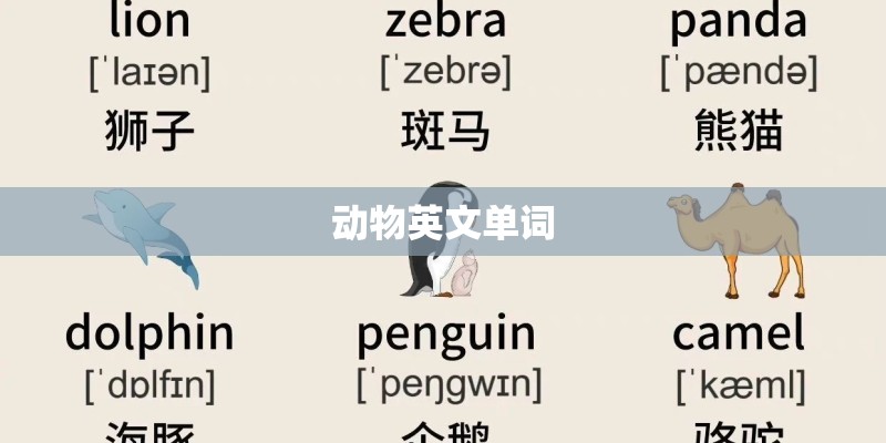 动物英文单词