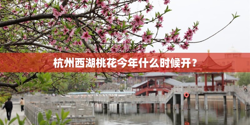 杭州西湖桃花今年什么时候开？
