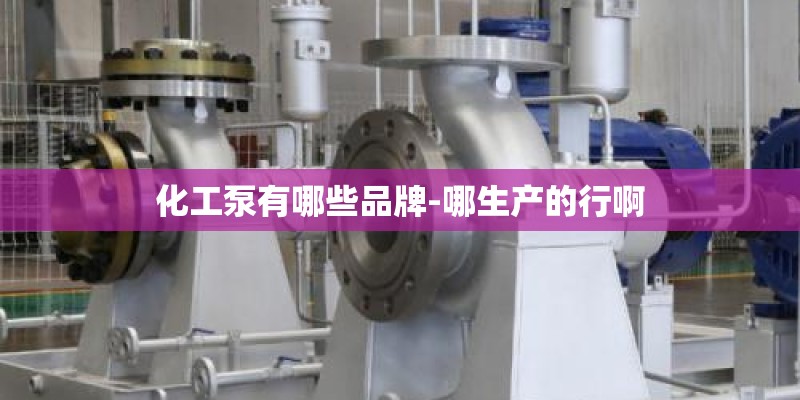 化工泵有哪些品牌-哪生产的行啊