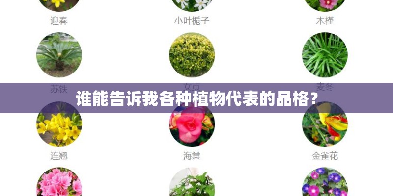 谁能告诉我各种植物代表的品格？