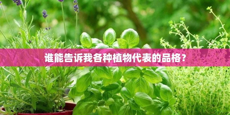 谁能告诉我各种植物代表的品格？