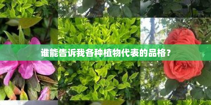 谁能告诉我各种植物代表的品格？