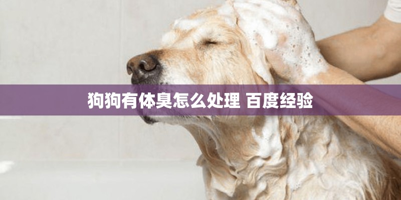 狗狗有体臭怎么处理 百度经验