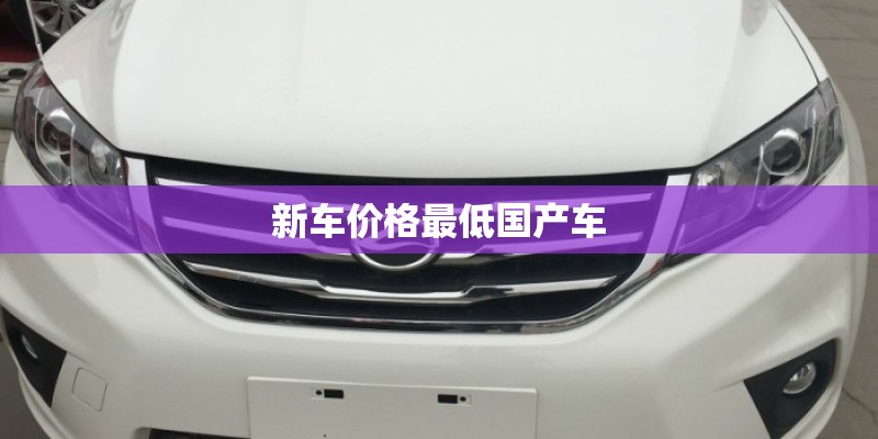 新车价格最低国产车