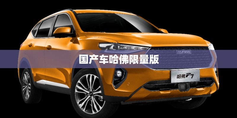 国产车哈佛限量版