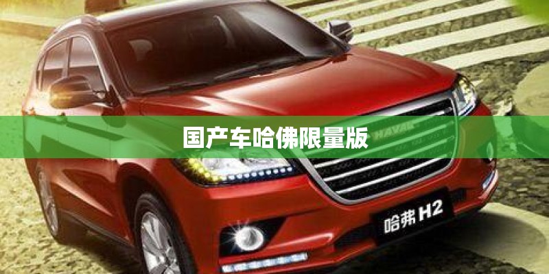 国产车哈佛限量版