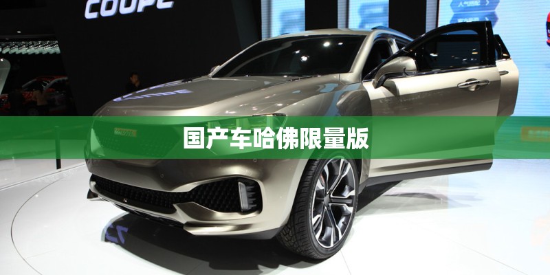 国产车哈佛限量版