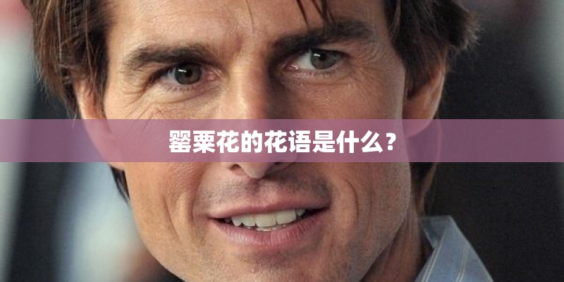 罂粟花的花语是什么？