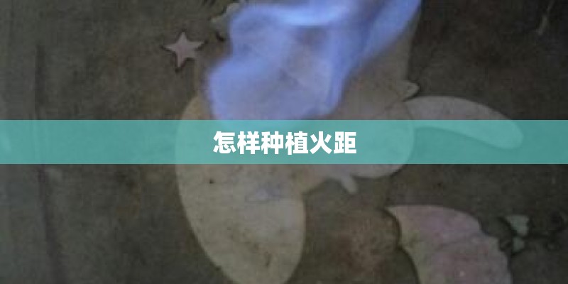 怎样种植火距