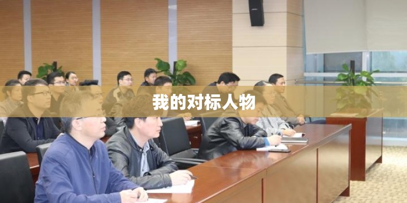 我的对标人物
