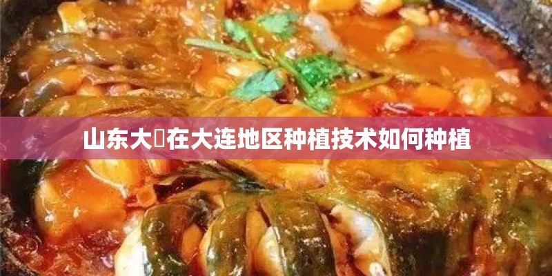 山东大祘在大连地区种植技术如何种植