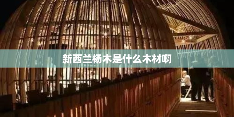 新西兰杨木是什么木材啊