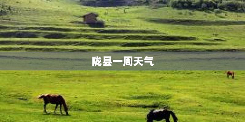 陇县一周天气