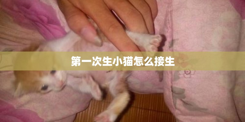 鳄鱼龟怎么养-