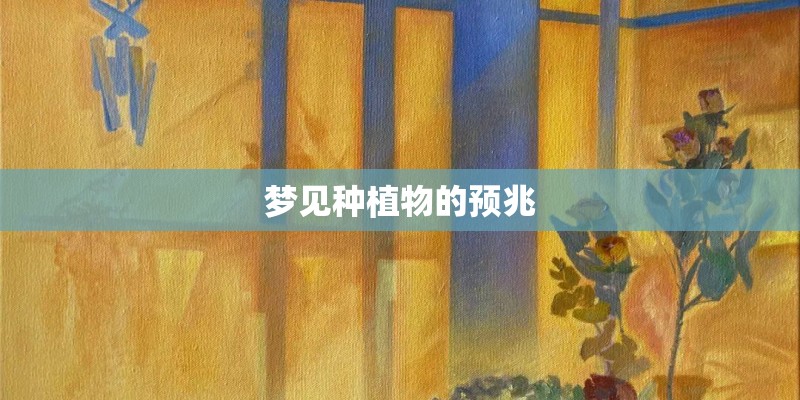 梦见种植物的预兆