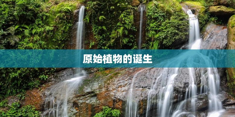 原始植物的诞生