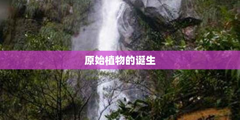 原始植物的诞生