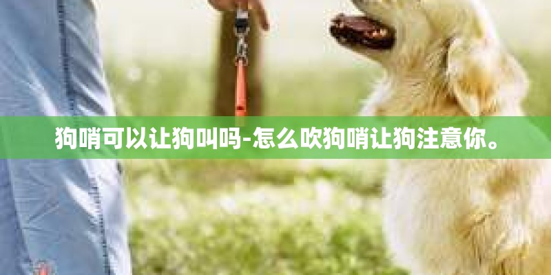 狗哨可以让狗叫吗-怎么吹狗哨让狗注意你。 狗哨可以让狗叫吗-怎么吹狗哨让狗注意你。