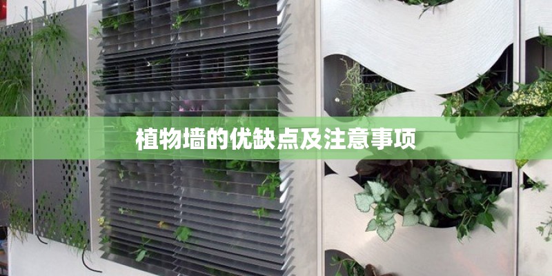 植物墙的优缺点及注意事项